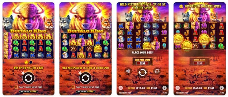 A look at buffalo king