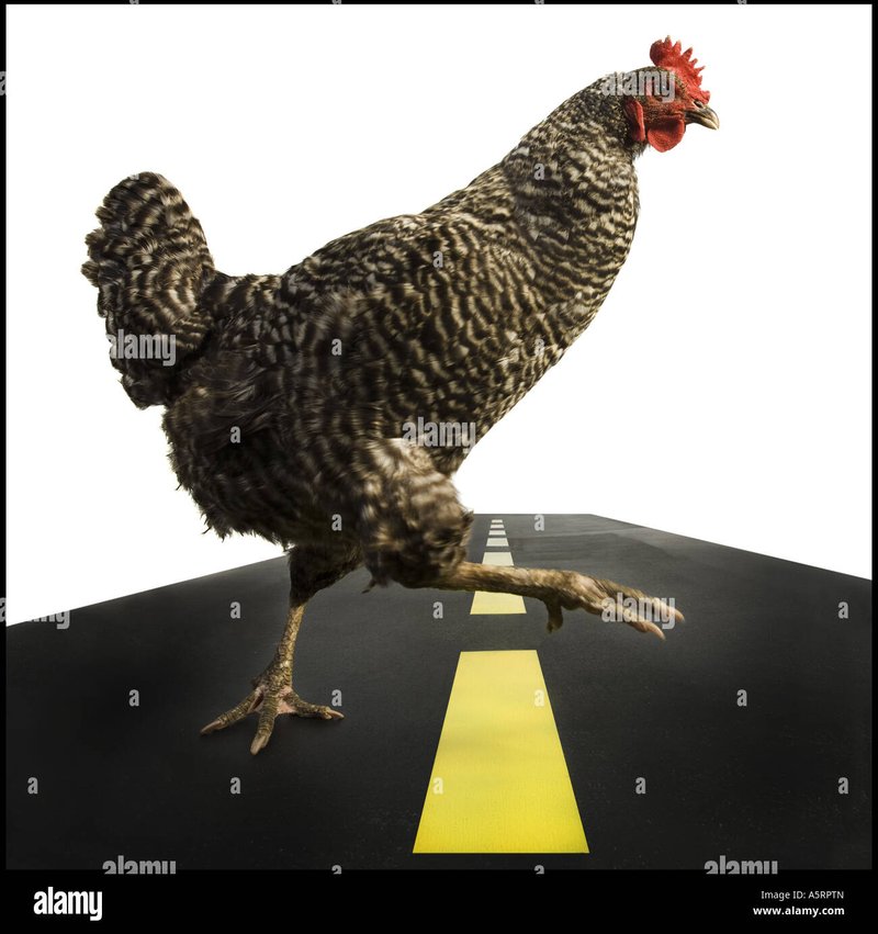 Descubre el Misterio de la Ruta del Pollo en el casino español - overview